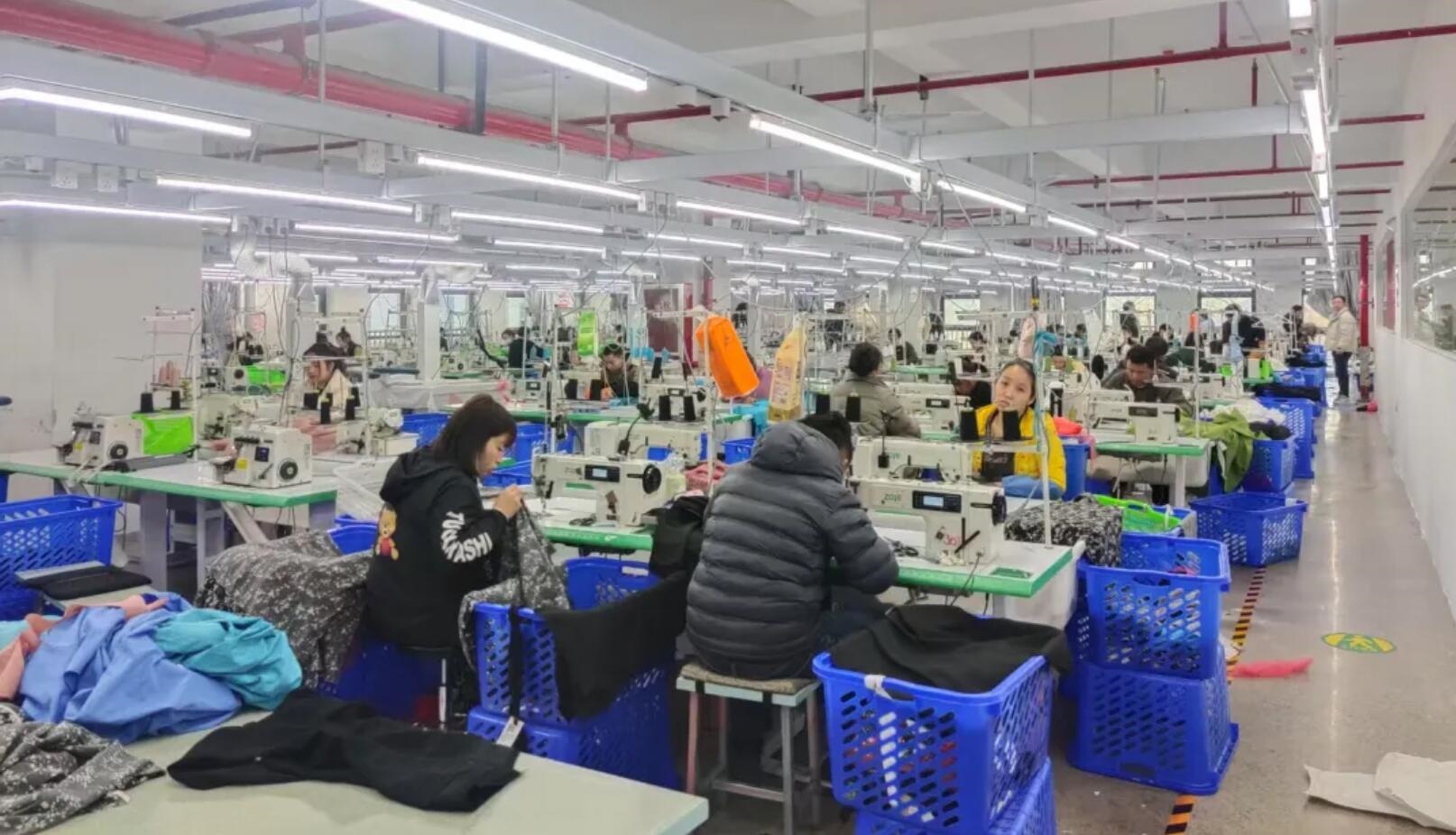 探厂｜在海宁，看到中捷的那一抹绿